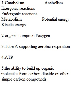 Quiz Chapter 6 Metabolism